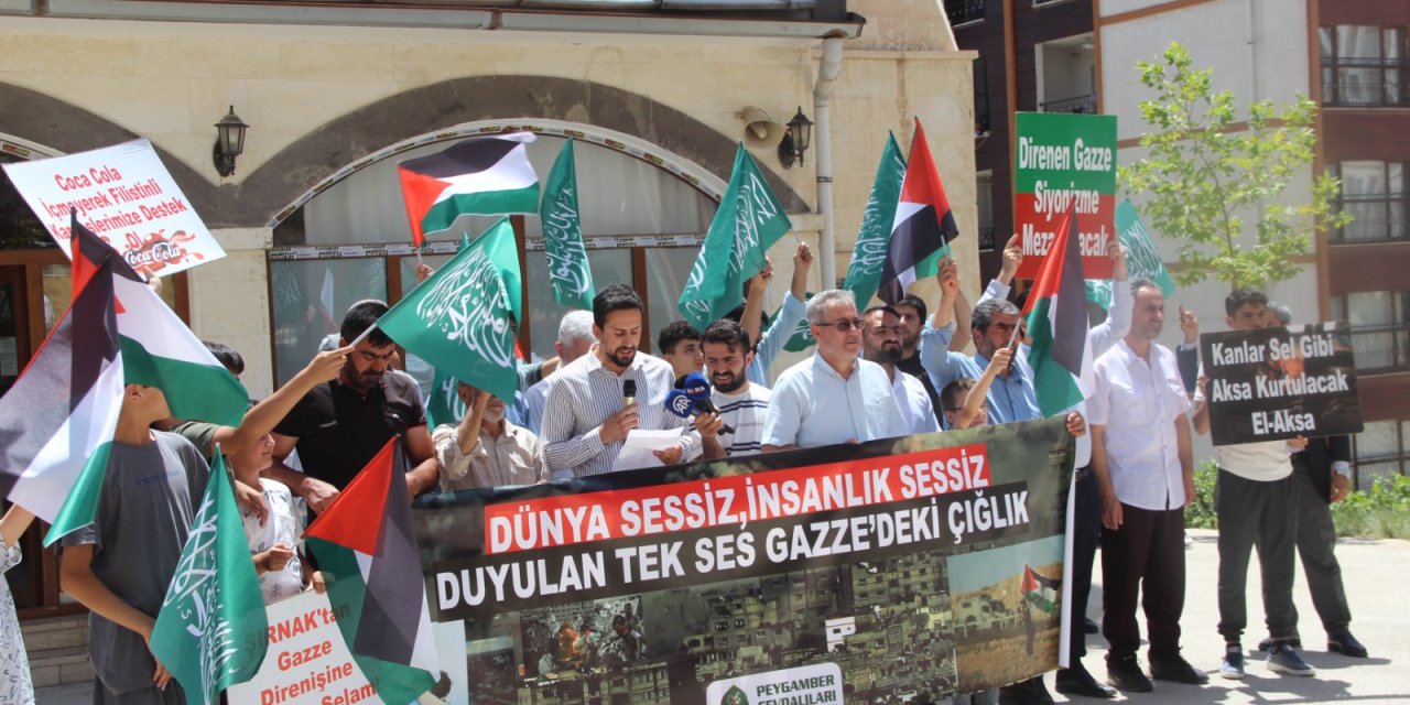 Şırnak'ta, İsrail'in Gazze'ye saldırıları protesto edildi